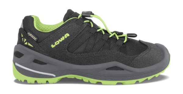 Черевики трекінгові Lowa ROBIN GTX LO black/lime