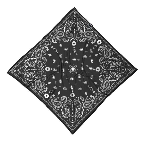 Бандани багатофункціональні HAD TEC BANDANA paisley black